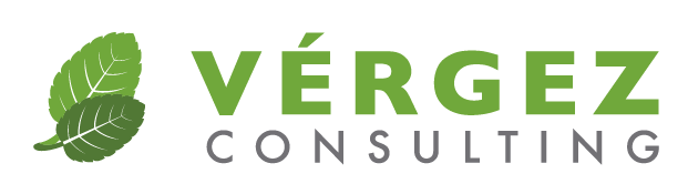 Vérgez Consulting